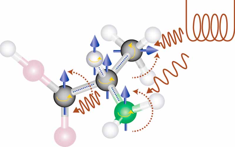NMRを用いた量子機械学習の実装